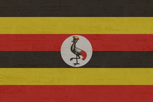  Uganda 1